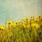 AntiquePhotoRetroEffects_2