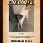 Wanted Poster Pro (2)