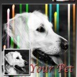 PhotoJus Light FX Pro-3