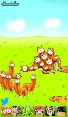 AlpacaEvolution03