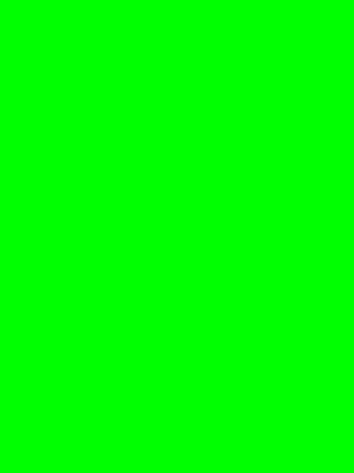 Flashlight 4
