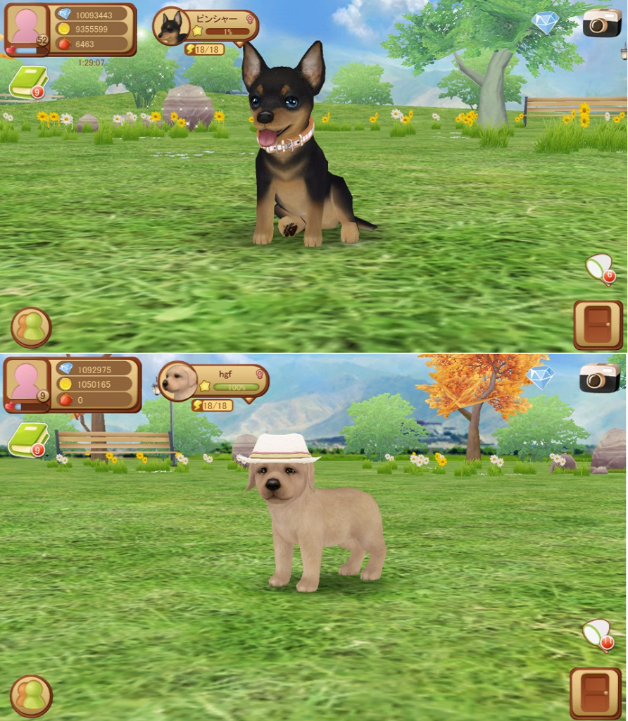 DOG1 2