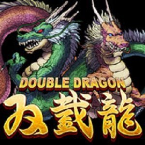 DoubleDragon01