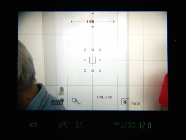 ▲新對屏可以顯示出更多資訊,如上方是顯示相機水平、垂直情況,下方有不同的拍攝功能資訊,加上轉盤、選擇桿等,令用家眼睛不用離開觀景器亦可更改拍攝設定。