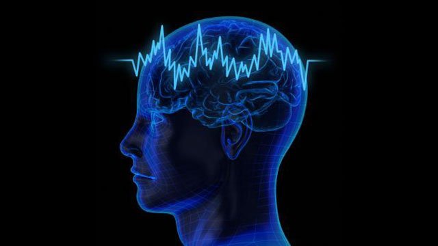 brain