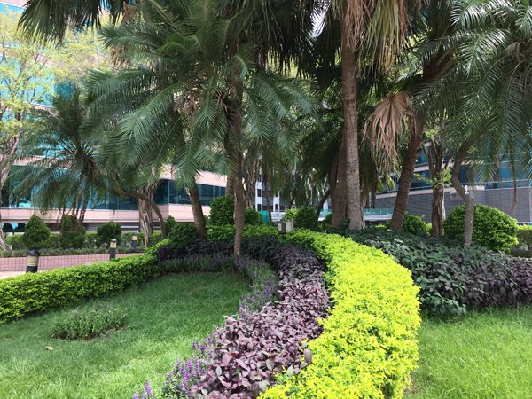 outdoor-photo-test-4-6s_plus