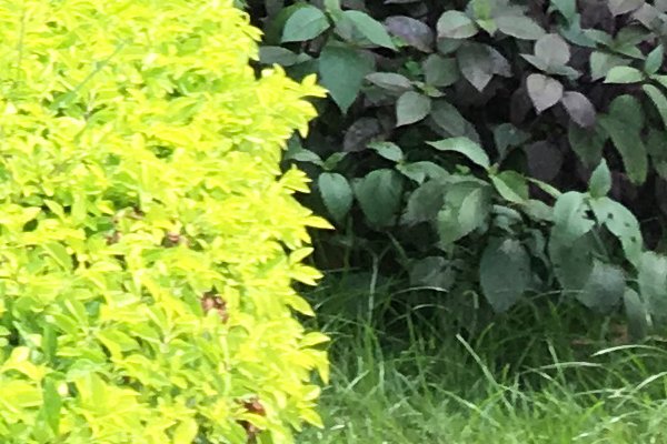 outdoor-photo-test-4a-6s_plus