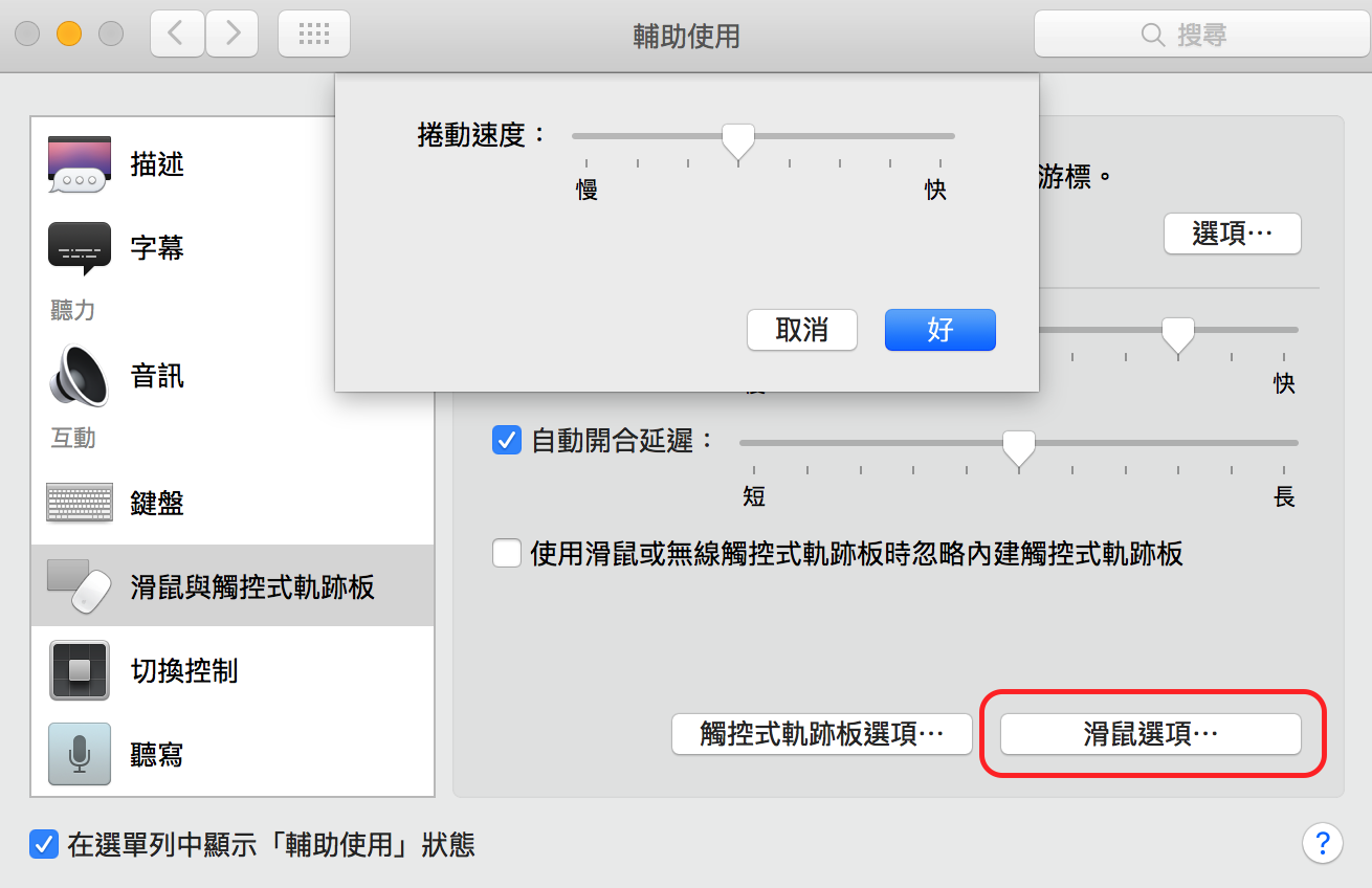 Mac Setting zoom-5