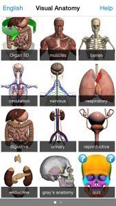 Visual Anatomy 2