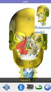 Visual Anatomy 5