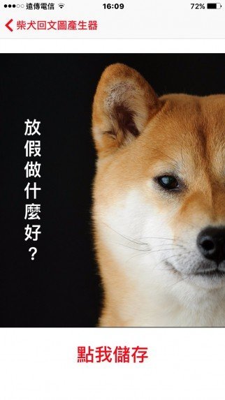 shiba3 e1459693247311