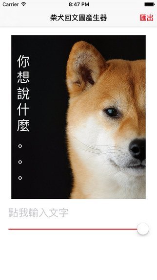 shiba6
