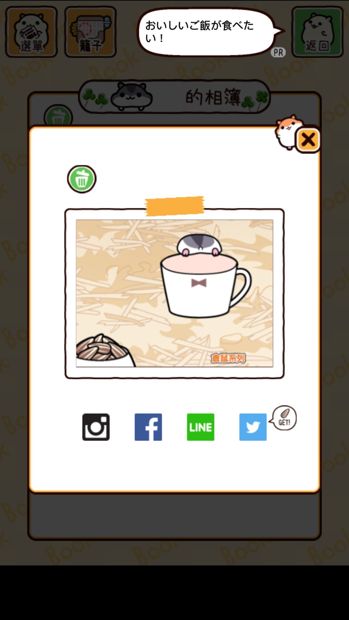 hamster11