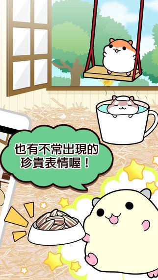 hamster3