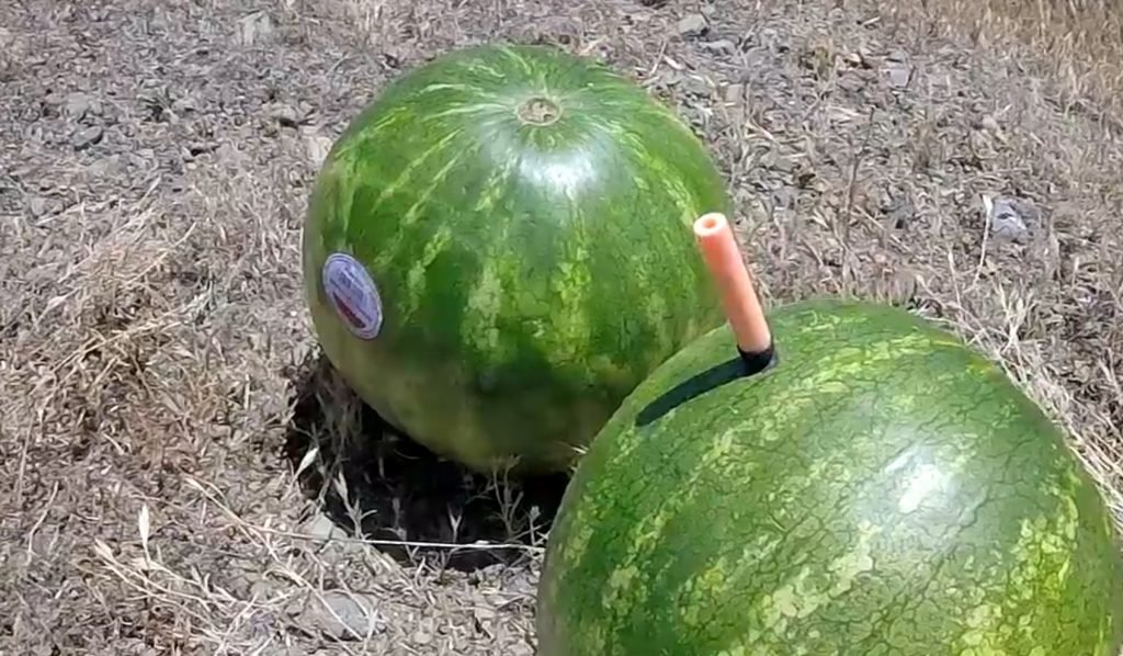 nerf 6