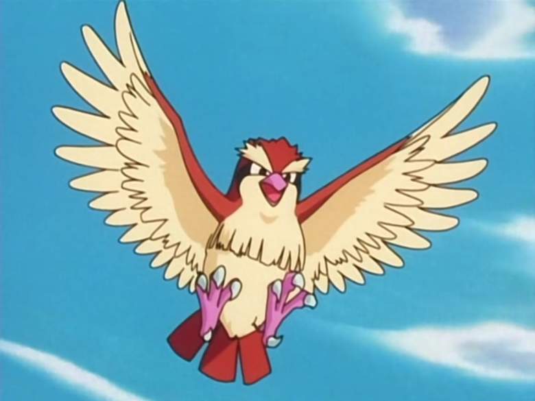10-pokemon-which-can-be-easily-catch_13_ Pidgey