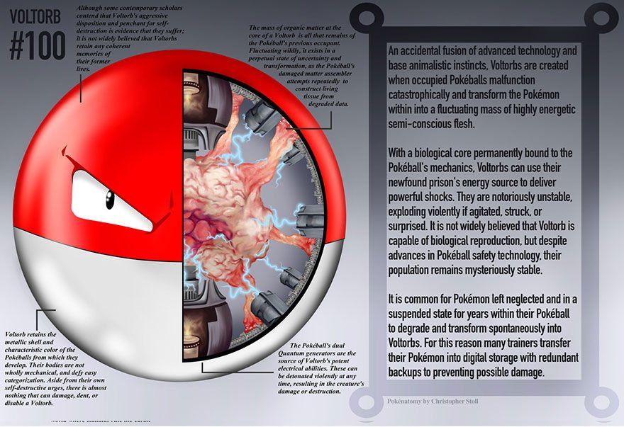 pokemon-anatomy-pokenatomy-christopher-stoll-8