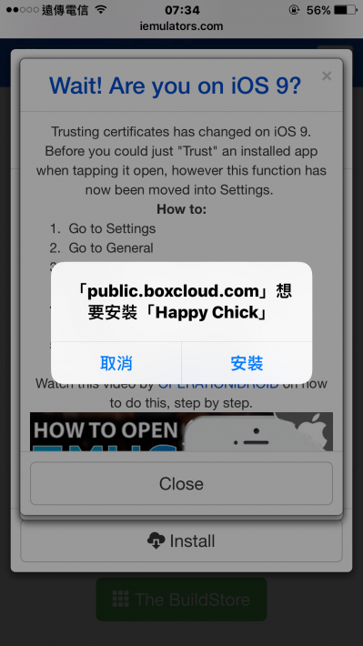 happychick6 e1484906541391