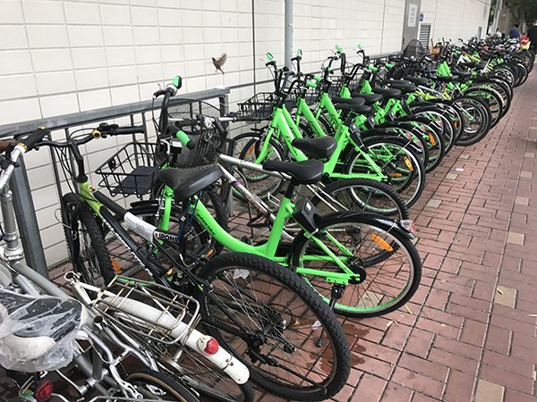 bike sharing illegal problem 06