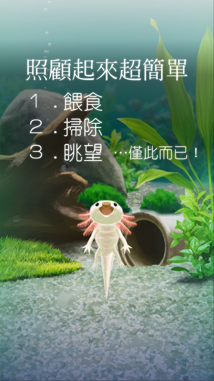 pet3