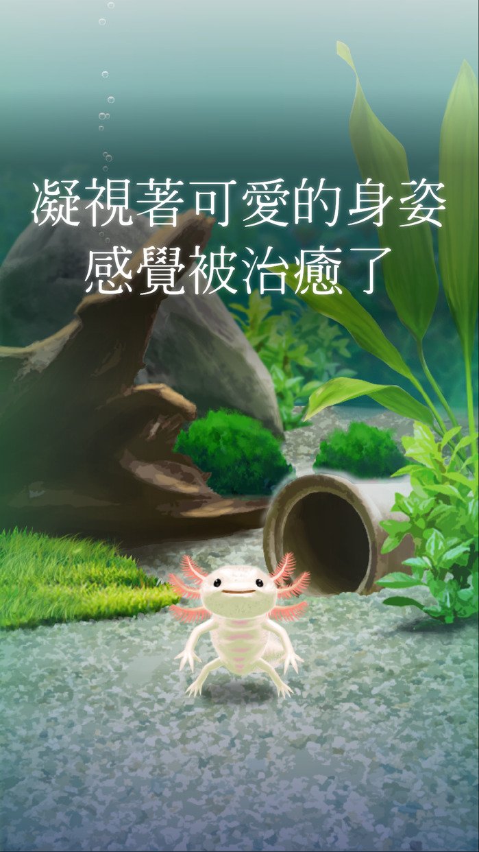 pet4