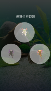 pet5