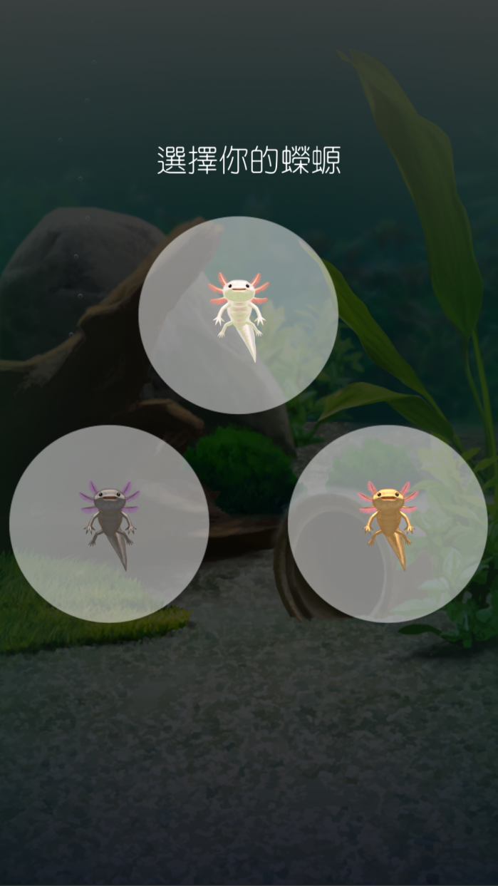 pet5 e1493820280807