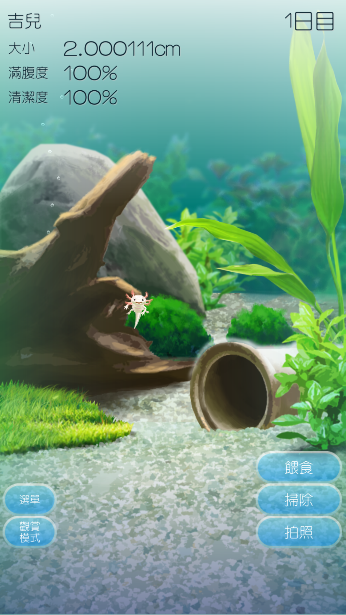 pet6