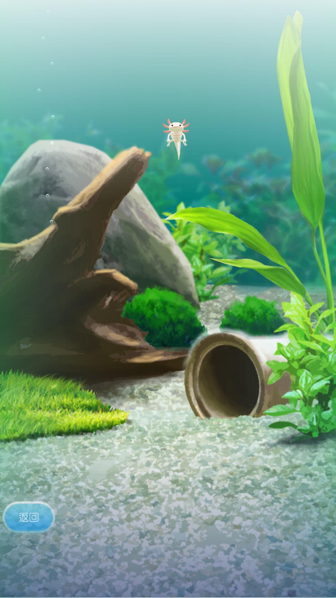 pet7