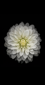 iOS Wallpapers13