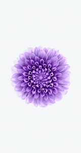 iOS Wallpapers14