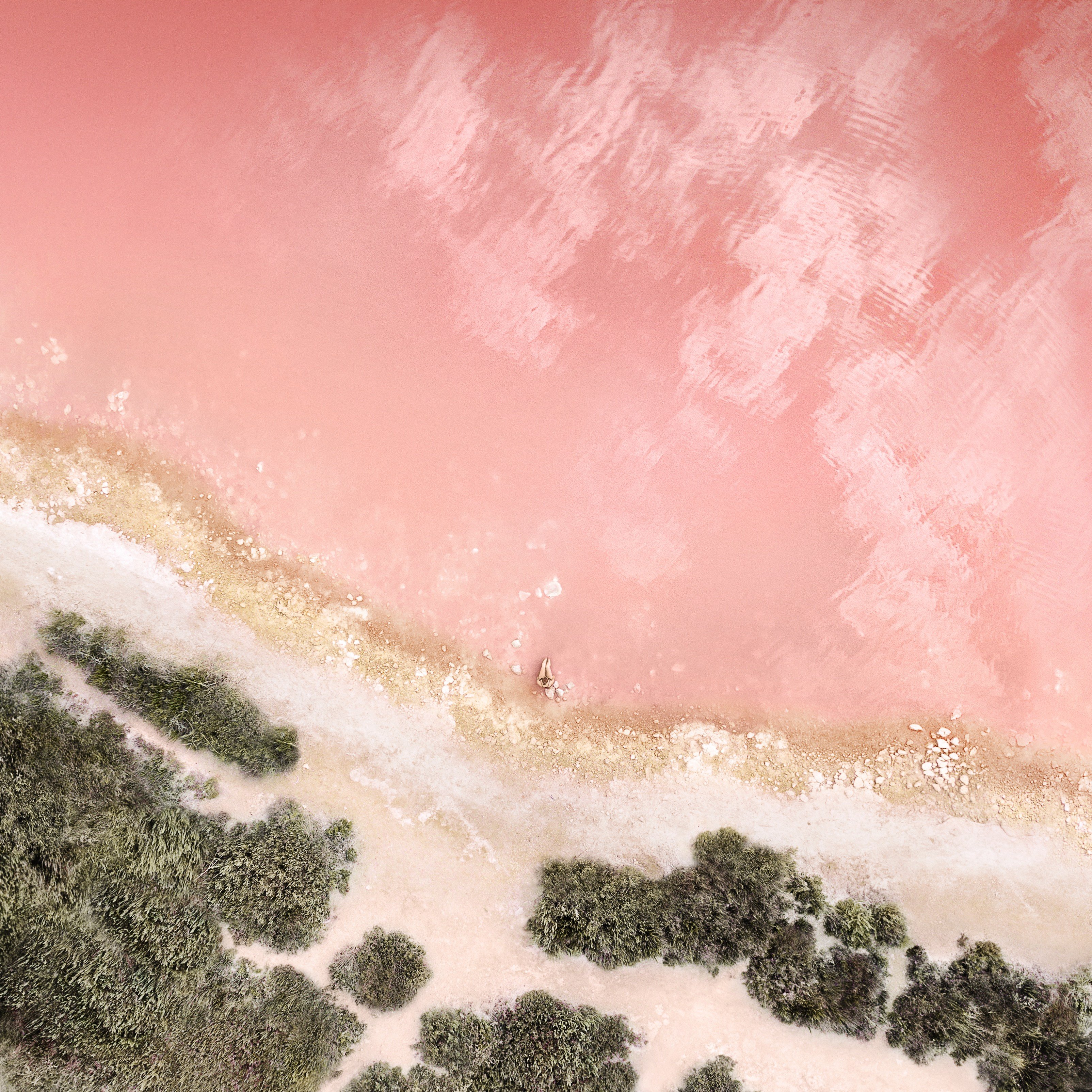 ipad pro wallpaper from the box 04 rose gold