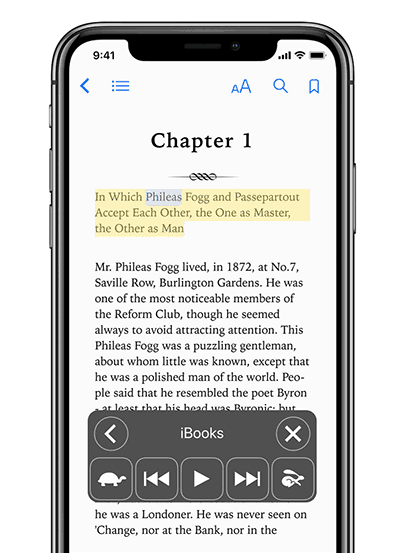 ios accessibility functions 14
