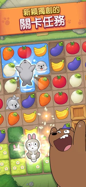 bears4