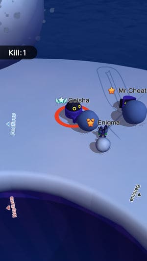 snowball7