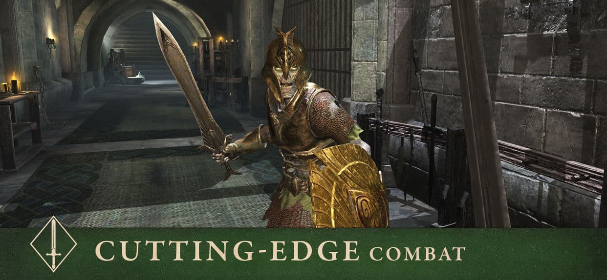 The Elder Scrolls Blades 6