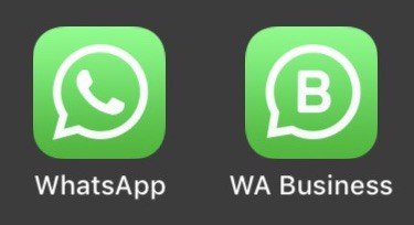 whatsapp 15