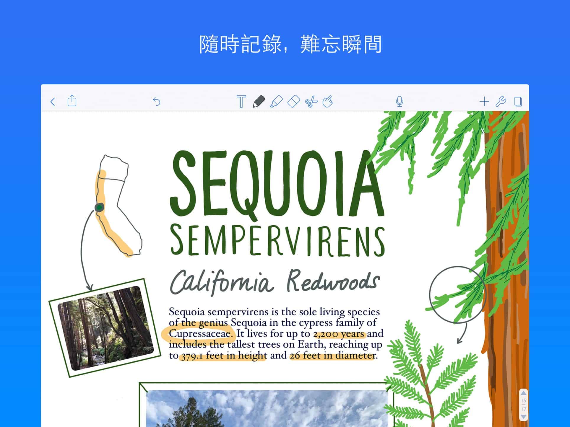 Notability