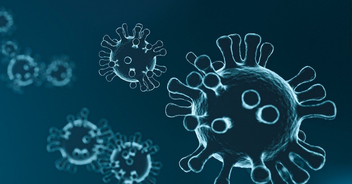 Virus