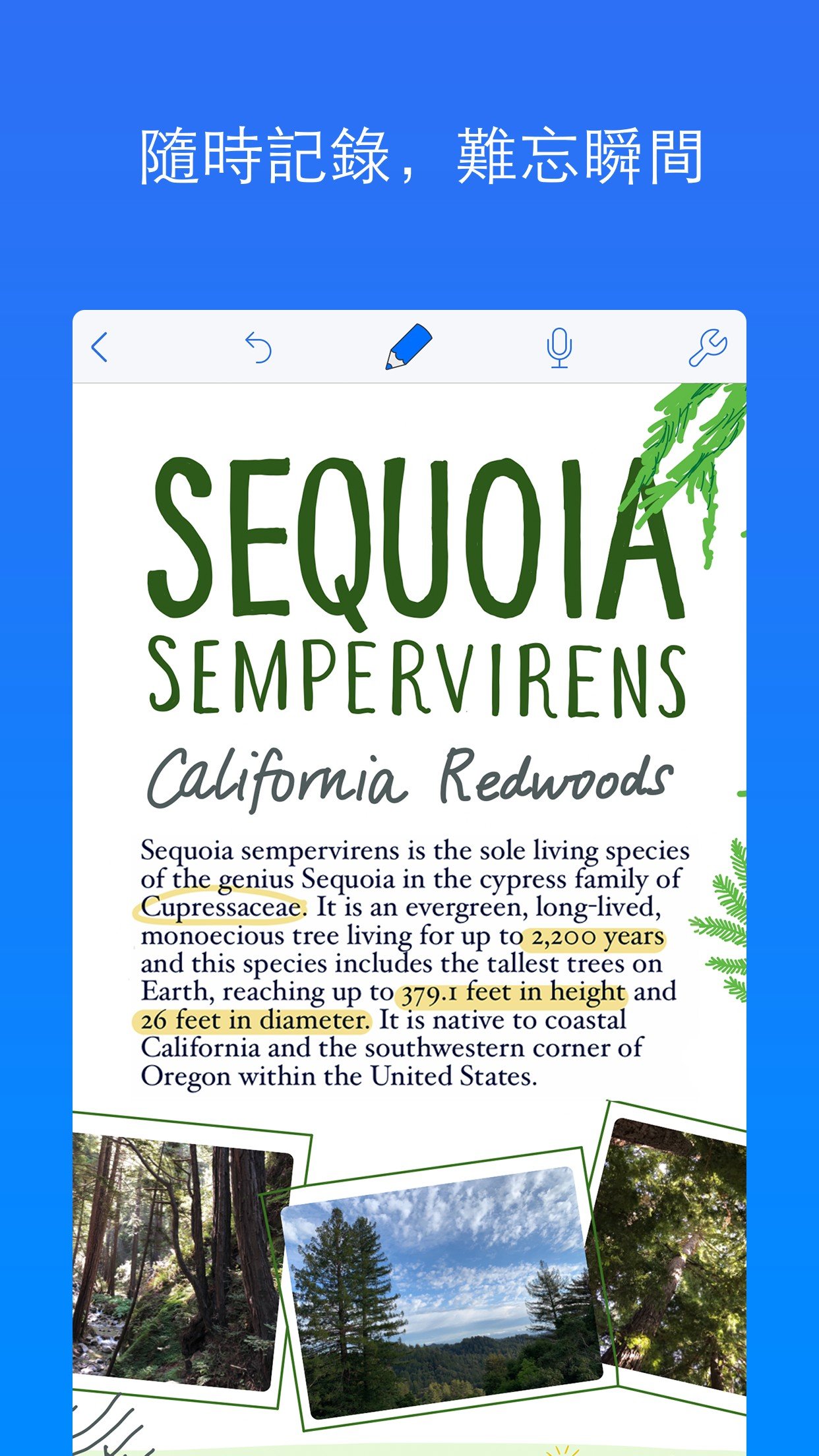 Notability 2