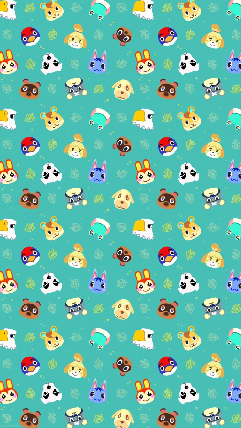 animal5