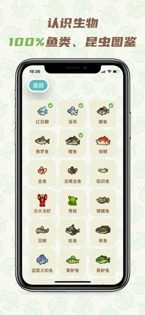 nook9