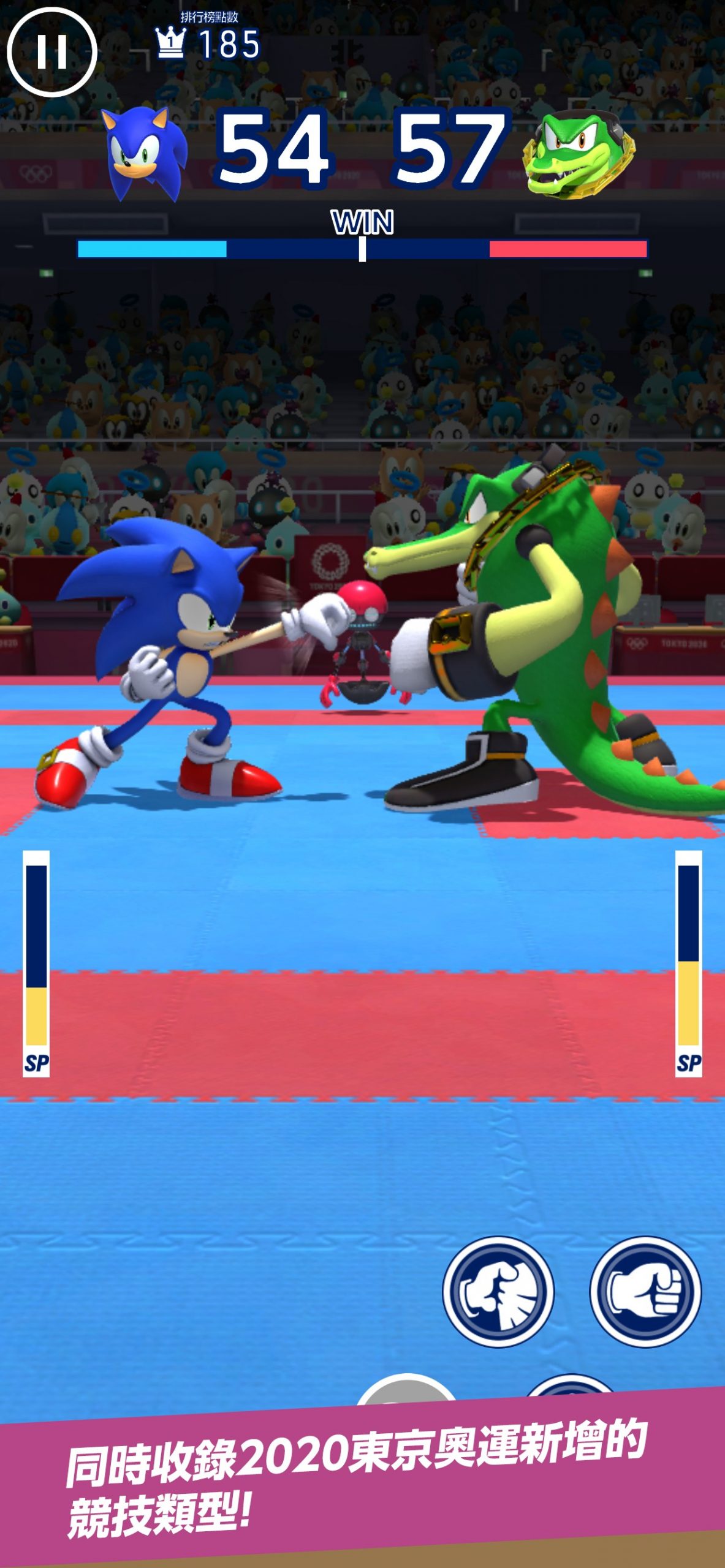 SONIC AT THE OLYMPIC GAMES 5 scaled