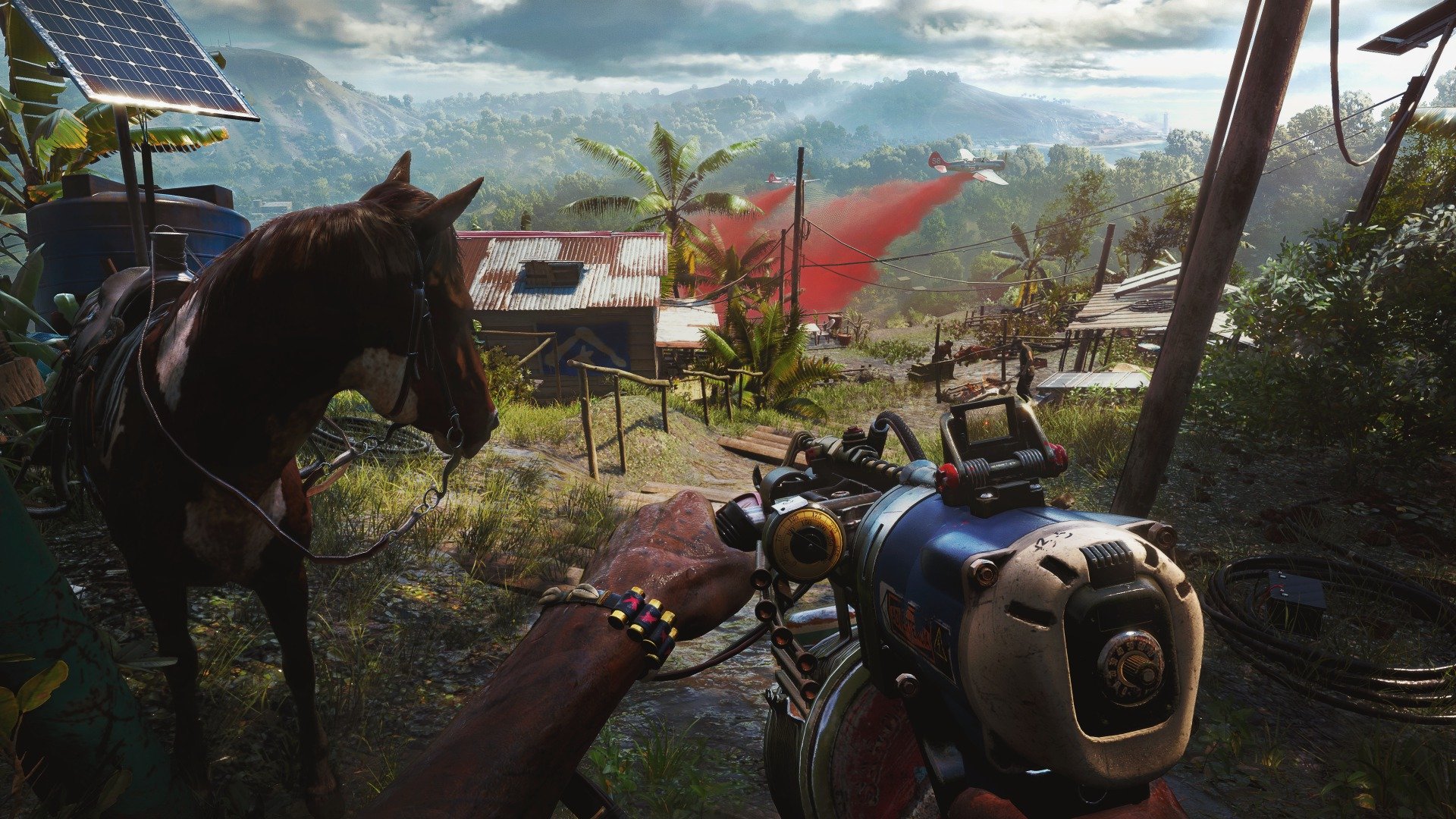 Horse Vista