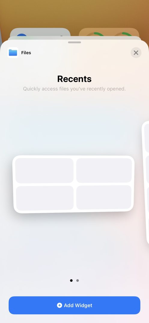 files widget1