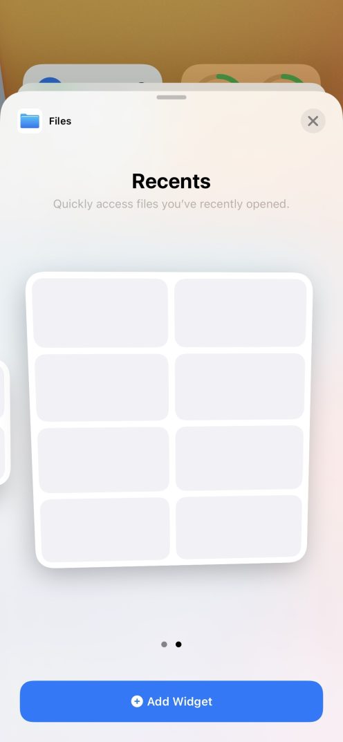 files widget2