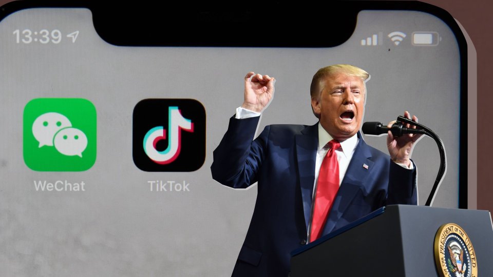 tiktok trimp