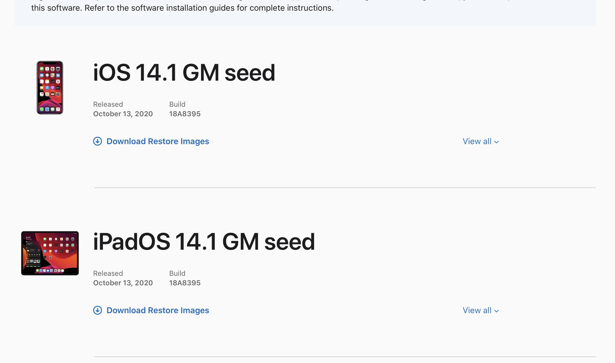 iOS141gm