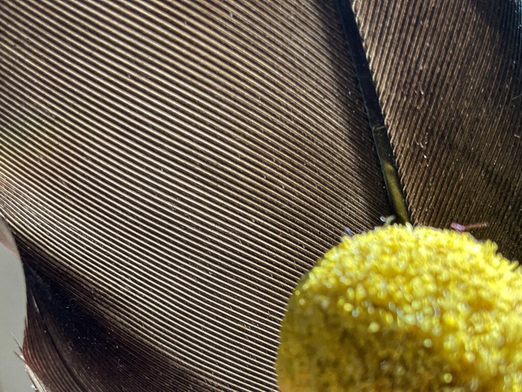 M1iPadCameraAnalysis 0188 2048x1536 1