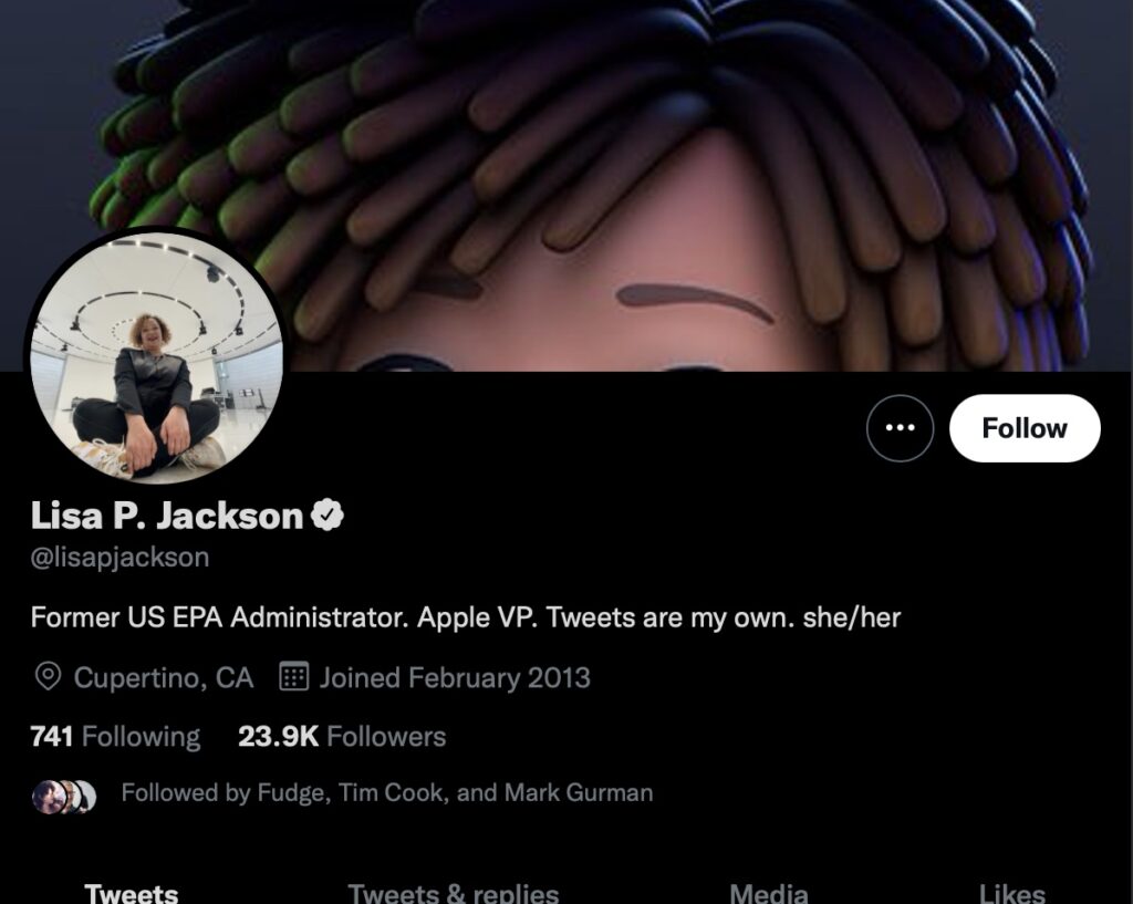 lisa twitter
